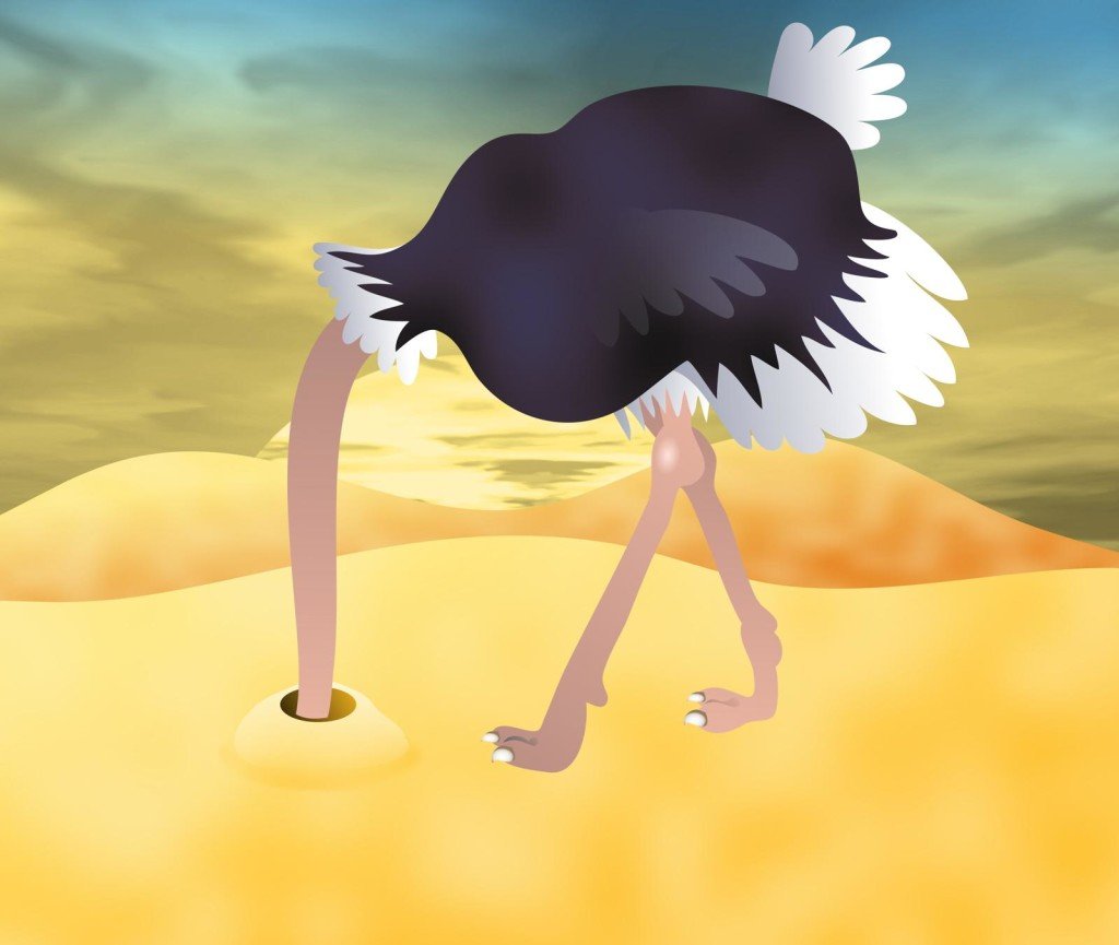 ostrich